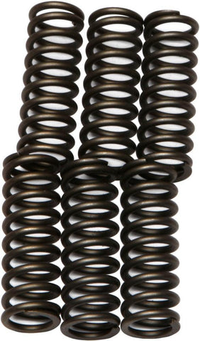 EBC - CSK62 - CSK Clutch Spring Kit 10% Stiffer Than Stock Springs