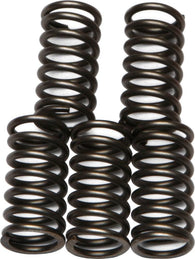 EBC - CSK65 - CSK Clutch Spring Kit 10% Stiffer Than Stock Springs