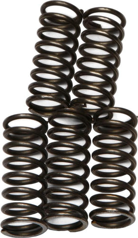 EBC - CSK66 - CSK Clutch Spring Kit 10% Stiffer Than Stock Springs