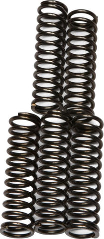 EBC - CSK67 - CSK Clutch Spring Kit 10% Stiffer Than Stock Springs