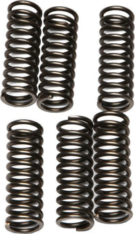 EBC - CSK69 - CSK Clutch Spring Kit 10% Stiffer Than Stock Springs