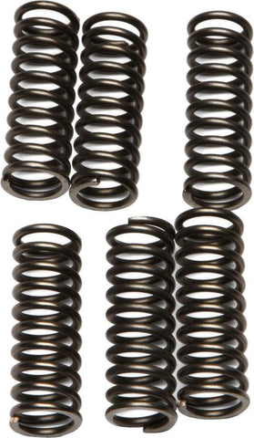 EBC - CSK69 - CSK Clutch Spring Kit 10% Stiffer Than Stock Springs
