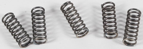 EBC - CSK70 - CSK Clutch Spring Kit 10% Stiffer Than Stock Springs