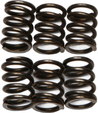 EBC - CSK72 - CSK Clutch Spring Kit 10% Stiffer Than Stock Springs