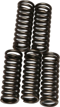 EBC - CSK73 - CSK Clutch Spring Kit 10% Stiffer Than Stock Springs