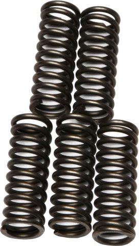 EBC - CSK73 - CSK Clutch Spring Kit 10% Stiffer Than Stock Springs