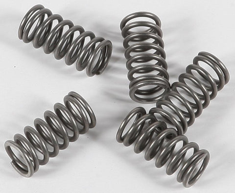 EBC - CSK77 - CSK Clutch Spring Kit 10% Stiffer Than Stock Springs
