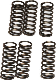 EBC - CSK79 - CSK Clutch Spring Kit 10% Stiffer Than Stock Springs