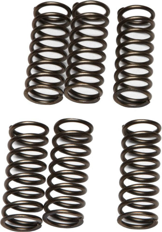 EBC - CSK79 - CSK Clutch Spring Kit 10% Stiffer Than Stock Springs