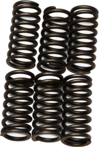 EBC - CSK80 - CSK Clutch Spring Kit 10% Stiffer Than Stock Springs