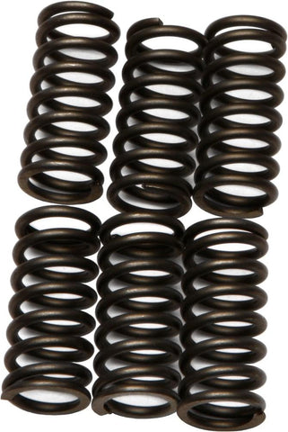 EBC - CSK80 - CSK Clutch Spring Kit 10% Stiffer Than Stock Springs
