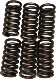 EBC - CSK9 - CSK Clutch Spring Kit 10% Stiffer Than Stock Springs