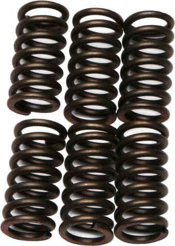 EBC - CSK9 - CSK Clutch Spring Kit 10% Stiffer Than Stock Springs