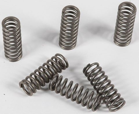 EBC - CSK90 - CSK Clutch Spring Kit 10% Stiffer Than Stock Springs