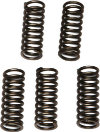 EBC - CSK97 - CSK Clutch Spring Kit 10% Stiffer Than Stock Springs