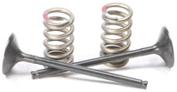 Pro-X Steel Exhaust Valve Spring Kit For Yamaha YZ250F 2014-2018 - 28.SES2414-1