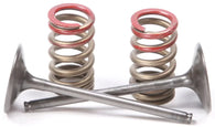 Pro-X - Steel Intake Valve/Spring Kit For Kawasaki KX250F 2004-2006 28.SIS4335-2