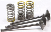 Pro-X Steel Intake Valve/Spring Kit For Yamaha YZ250F 2001-2013 - 28.SIS2402-2