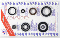 K&S ATV Complete Engine Oil Seal Kit  LT-250R / LT-500R  | 50-3002